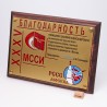 Плакетка резная спортивная. Волейбол. PN3182