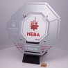Наградная тарелка. Футбол. PN3188