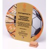 Приз-плакетка для награждения круглый. PN3254